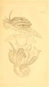 n58_w1150