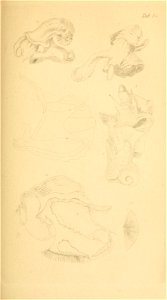 n52_w1150