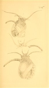 n116_w1150