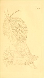 n56_w1150