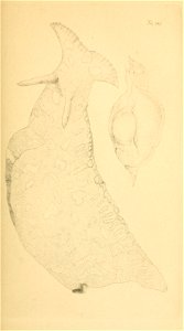 n170_w1150