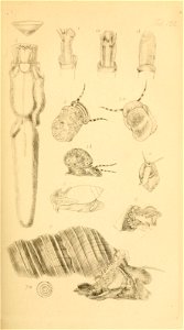 n140_w1150