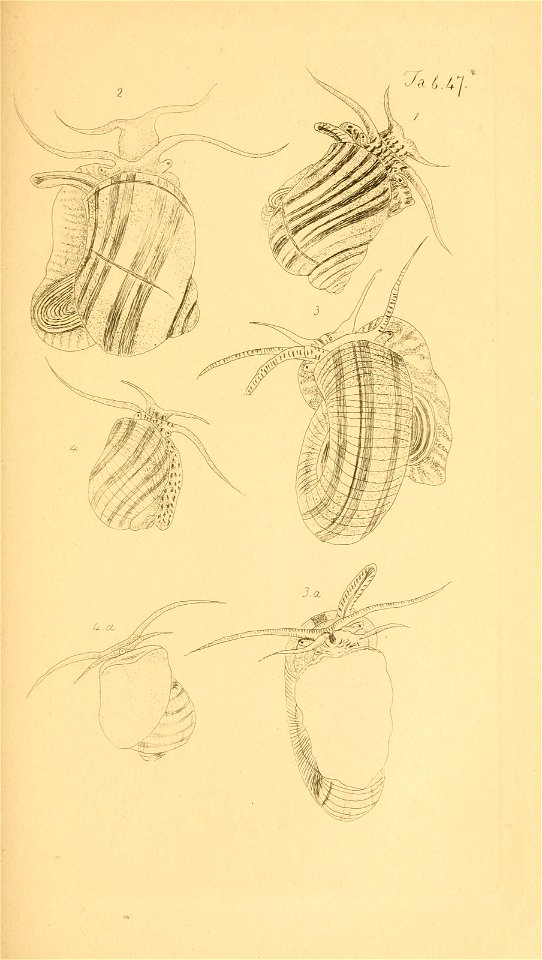 n114_w1150