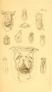 n142_w1150