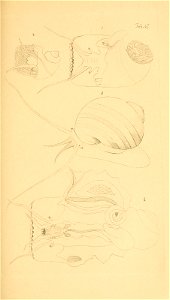 n112_w1150