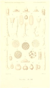 n878_w1150