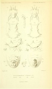 n576_w1150