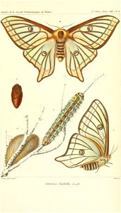 n592_w1150