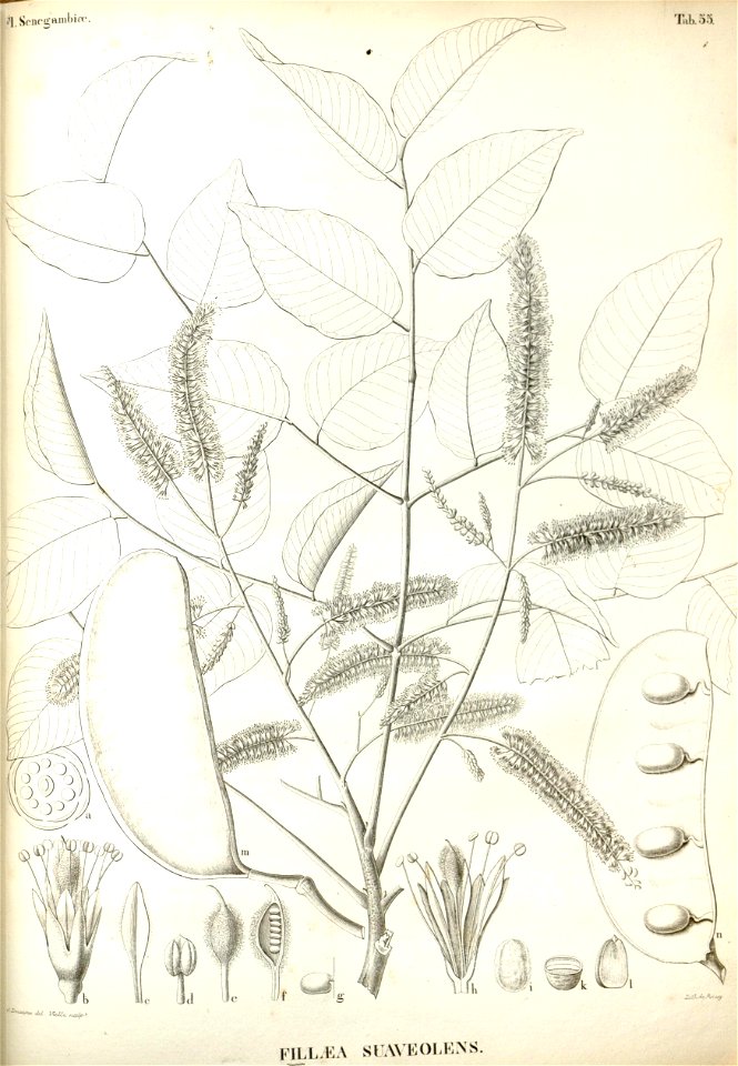 n385_w1150