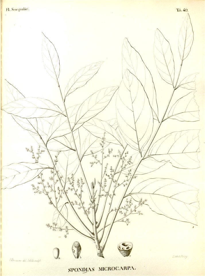 n370_w1150