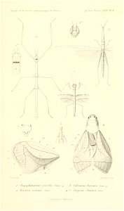 n798_w1150
