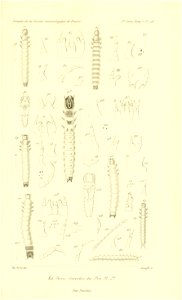 n834_w1150