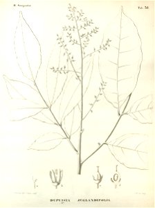 n368_w1150