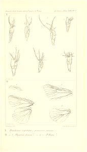 n582_w1150
