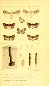 n490_w1150