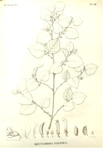 n382_w1150