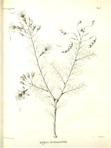 n337_w1150