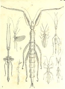 n278_w1150