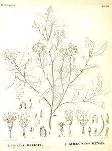 n396_w1150