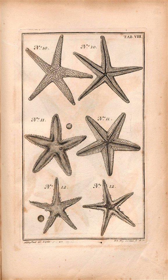 n156_w1150