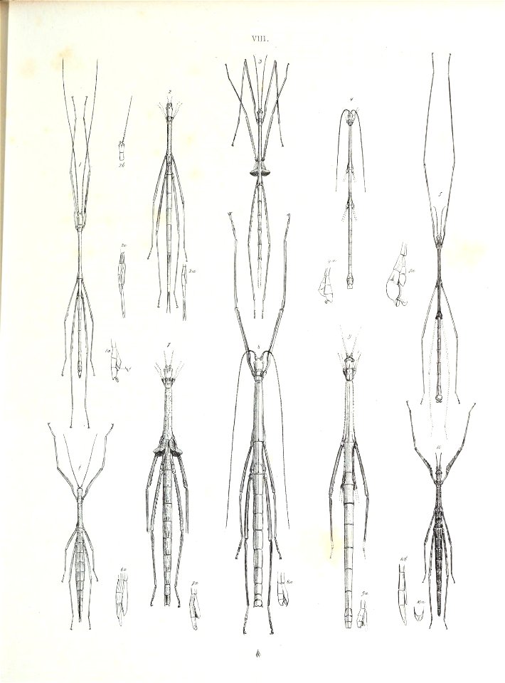 n214_w1150