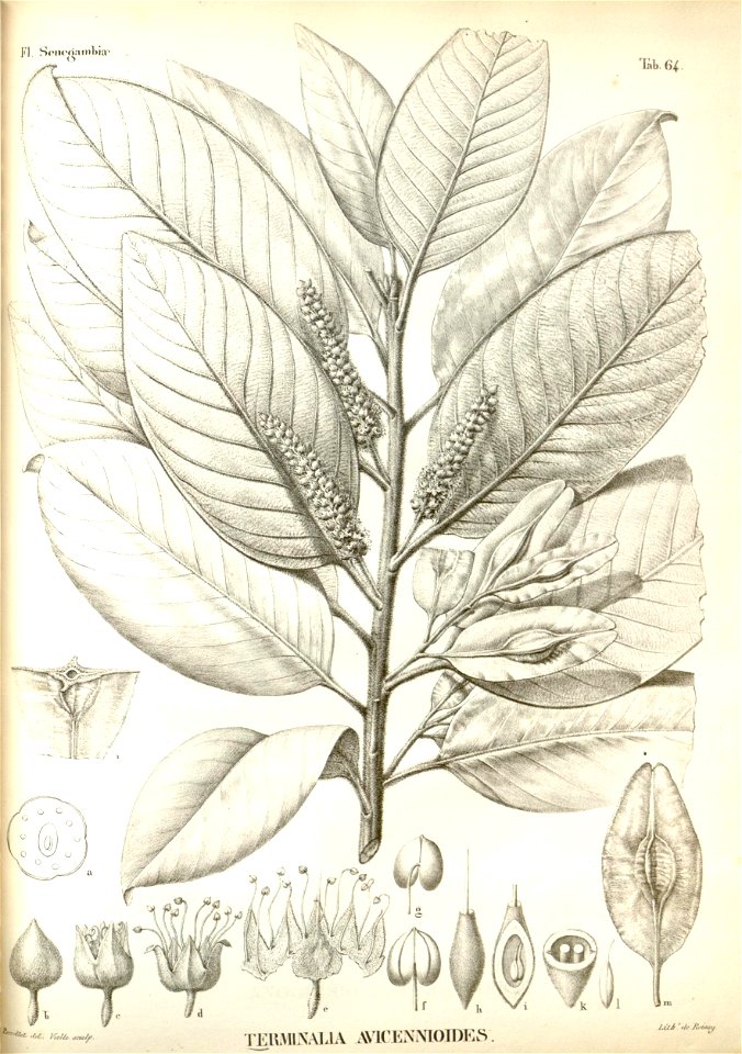 n394_w1150