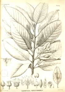 n394_w1150