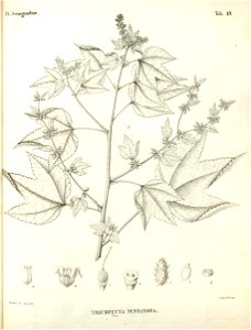 n349_w1150