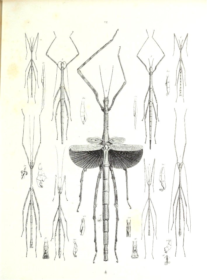 n212_w1150