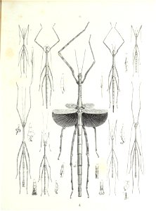 n212_w1150