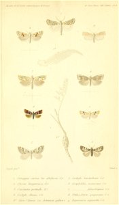 n746_w1150