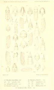 n726_w1150