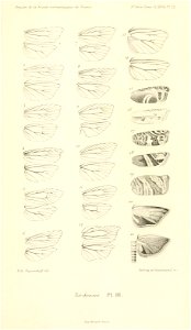 n1020_w1150