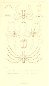 n958_w1150