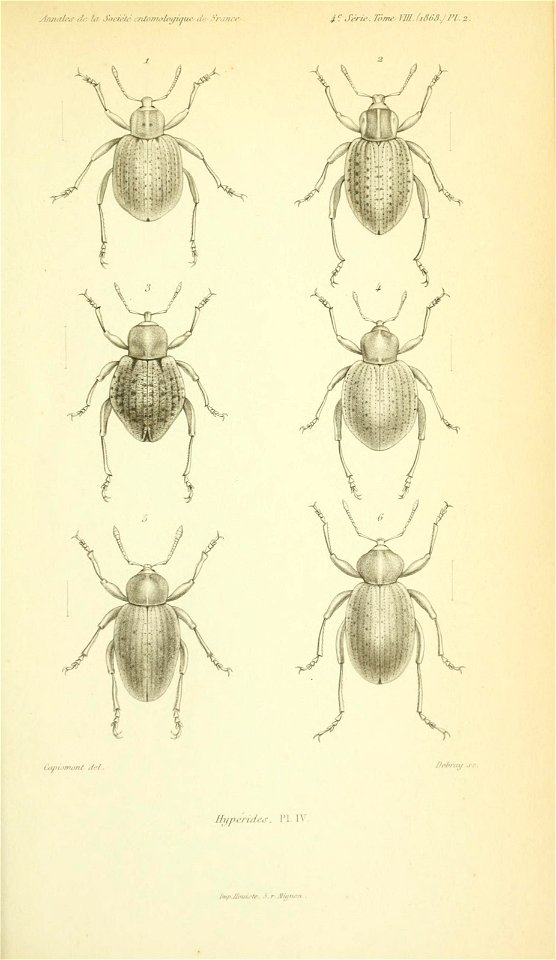 n588_w1150