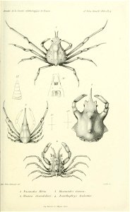 n810_w1150