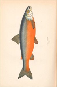 n367_w1150