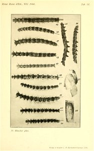 n168_w1150
