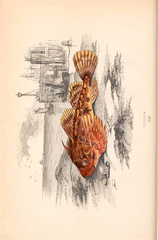 n25_w1150