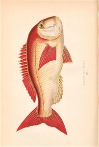 n349_w1150
