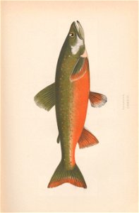 n358_w1150