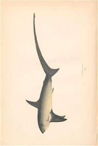 n62_w1150