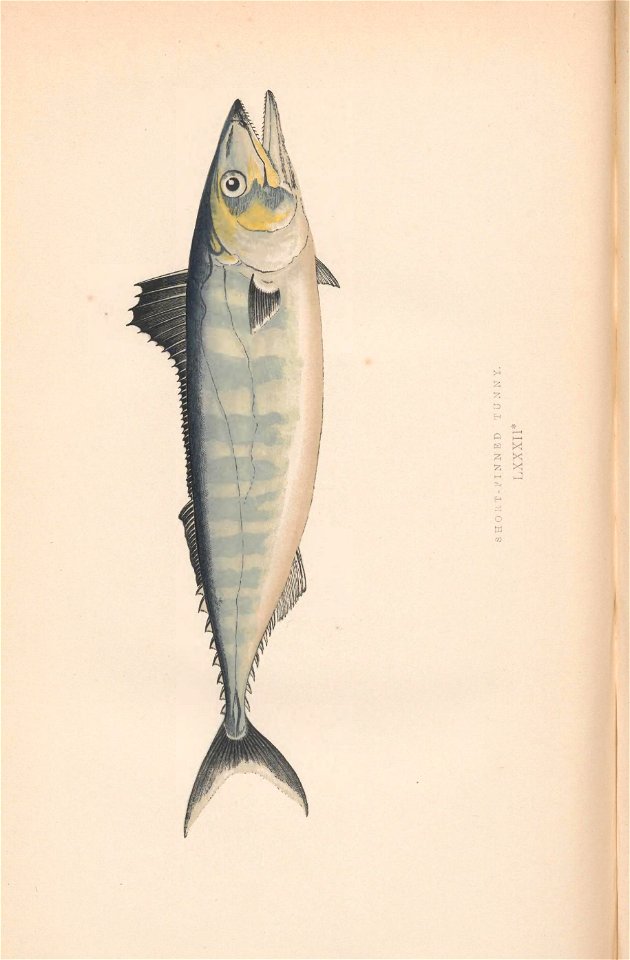 n577_w1150