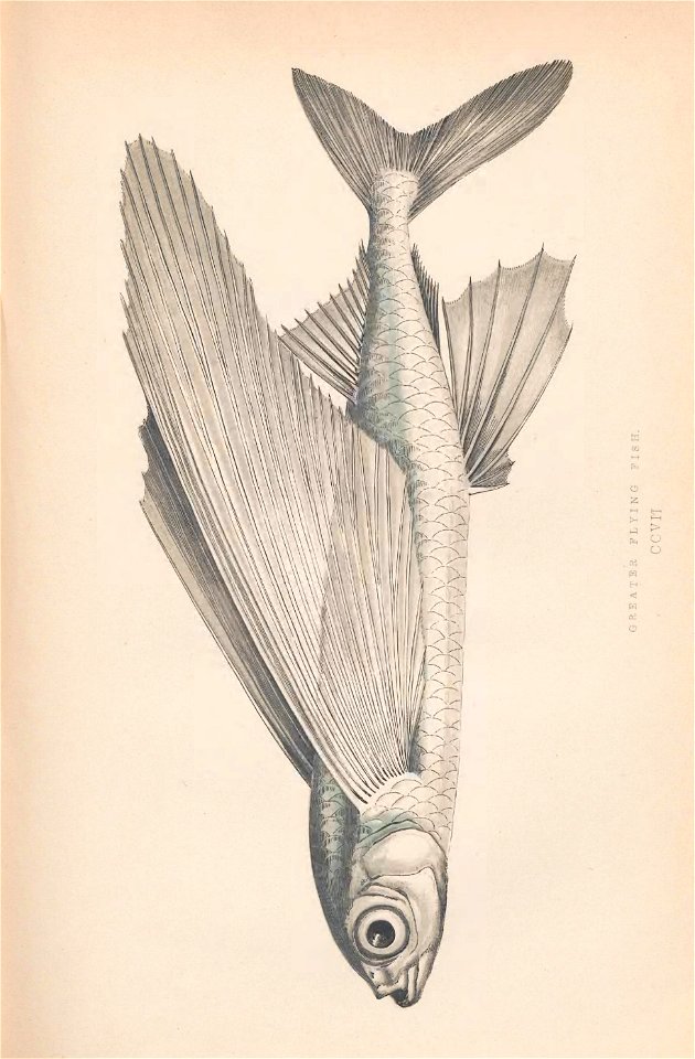 n190_w1150