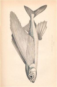n190_w1150