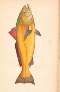 n573_w1150
