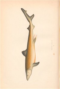 n46_w1150