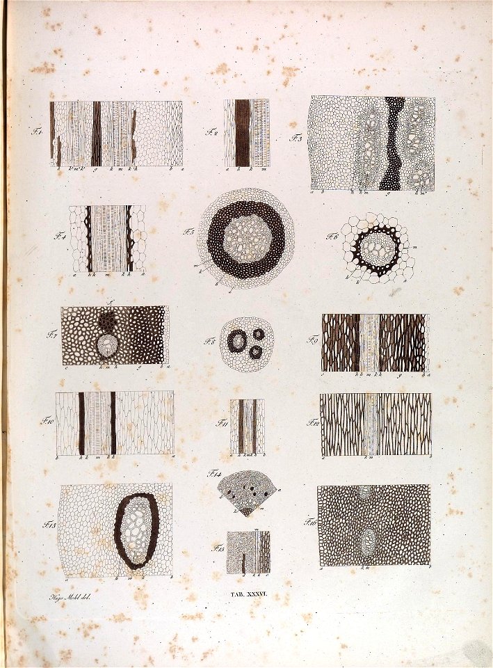 n176_w1150