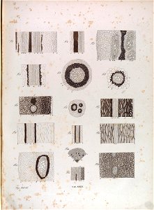 n176_w1150