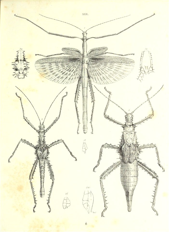 n258_w1150